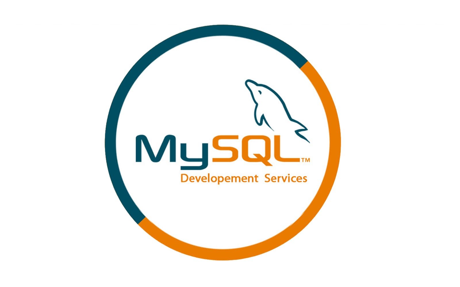  MySQL Ngo i Truy n Thi t K Website Web App