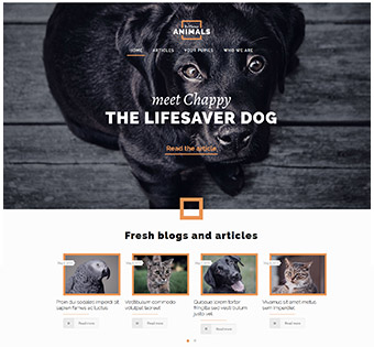 Animals