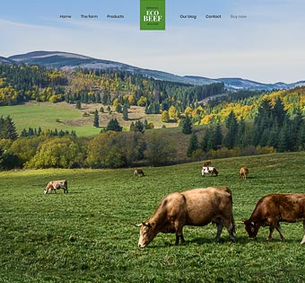 Eco Beef